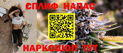 стафф Пенза